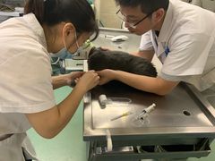 -动物缘宠物医院·骨科·猫科(西二环店)