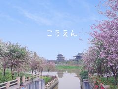 -海珠湖公园