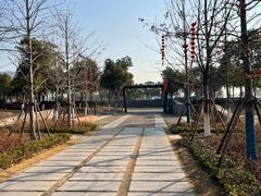 -春花秋色城市公园