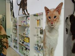 -瑞派申生动物医院·24H夜诊·国际动物医疗中心·骨外科(吴中路店)
