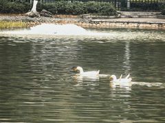 -西安市长乐公园