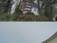 -万尾金滩