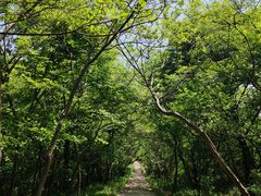 -南山风景名胜区