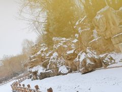 -金城公园