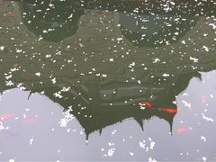 iphone_upload_pic-苏州吴宫泛太平洋酒店