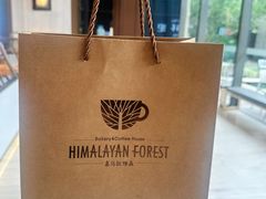 -喜马拉雅森HIMALAYAN FOREST