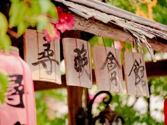 -三溪村