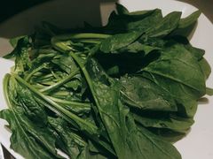 -海底捞火锅(青悦城店)