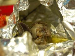 蜗牛-大渔铁板烧(蛇口店)