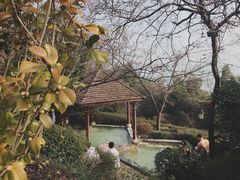 -天目湖涵田半山温泉