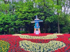 -上海共青森林公园