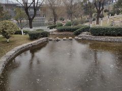 -鹦鹉寺公园