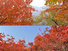 -周口店坡峰岭风景区