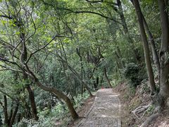 -上海佘山国家森林公园天马山园