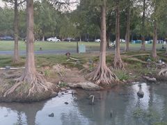 -东钱湖旅游度假区