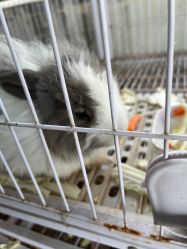 -小蜜蜂农场(凯德七宝购物广场店)