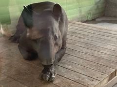 -石家庄市动物园