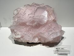 -重庆自然博物馆(新馆)