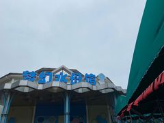 -海合安成都极地海洋公园