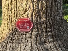 -狼山风景名胜区