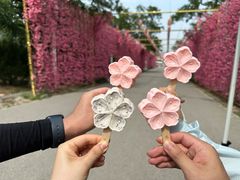 -北京凤凰岭