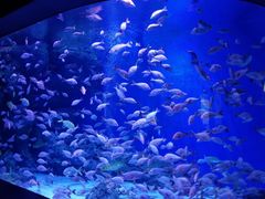 -成都浩海立方海洋公园