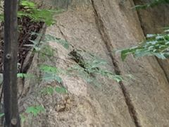 -碓臼峪自然风景区