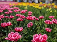 -国家植物园