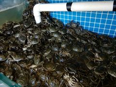 -蟹谢蒸鲜自助餐厅