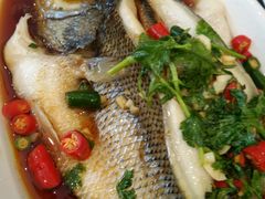 小慧蒸鱼-小慧住家贵州菜(甲秀楼店)