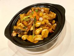 -莲苑中餐厅·Lotus Court(厦门马哥孛罗东方大酒店)