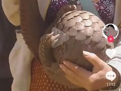 -约翰·菲茨杰拉德·肯尼迪国际机场