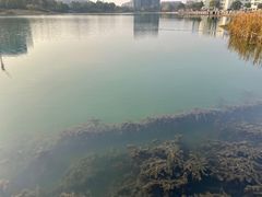 -美兰湖景区