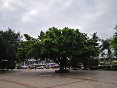 -仙人山公园