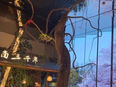 -桂满陇·海市蜃楼·黑金(国金店)