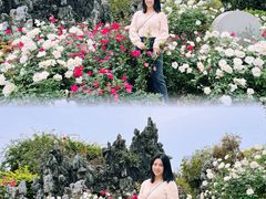 -人民公园(罗湖区)