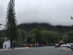 -广州市流溪河国家森林公园
