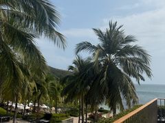 -日落吧·海景咖啡厅·餐酒吧·鸡尾酒·下午茶·乐队表演·浪漫夕阳·三亚文华东方酒店