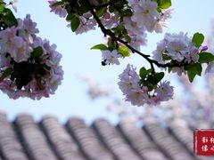 -海棠花溪(元大都城垣遗址公园)