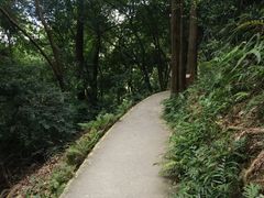 -广州市白云山风景名胜区