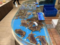 水产区-双井轩(双井店)