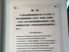 -金钉子远古世界景区