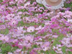 -径山花海