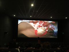 -大地影院(德清余英坊店)