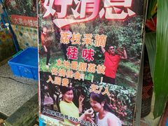 -荔枝红五号农庄