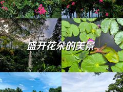 -中国科学院华南植物园