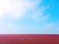 -红海滩国家风景廊道
