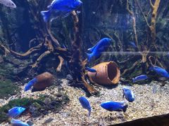 -华夏文旅海洋公园