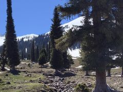 -新疆那拉提国家旅游度假区
