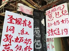 -孙奶奶葱包桧
